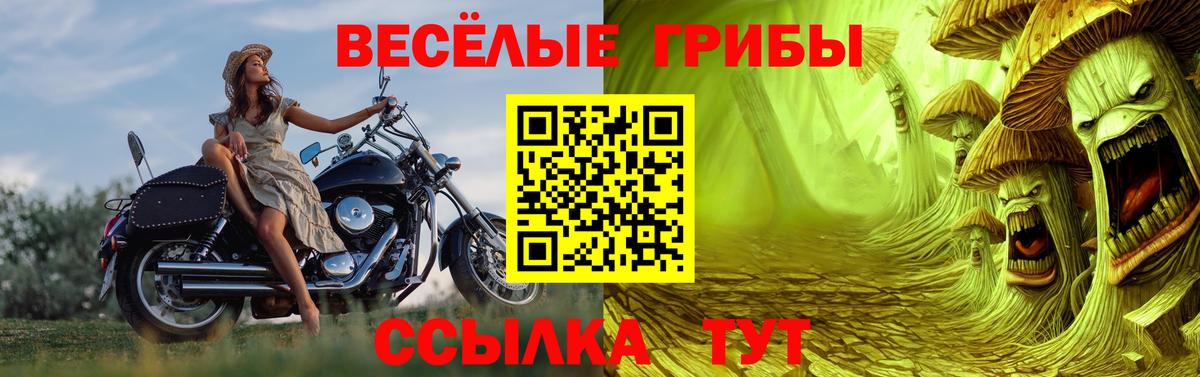 Алапаевск  Галлюциногенные грибы прущие грибы  Галлюциногенные грибы ЛСД  Вход с VPN 